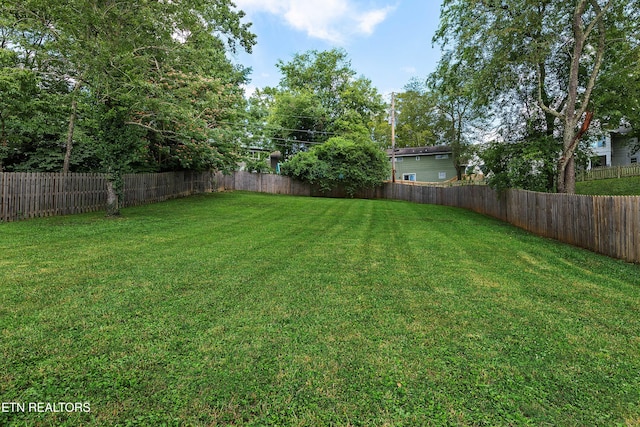3854 Taliluna Ave, Knoxville, TN 37919 - photo 29