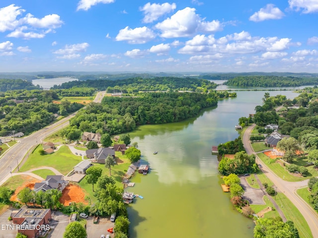 713 Concord Rd, Knoxville, TN 37934 - drone / aerial view of a large body of water and a forest