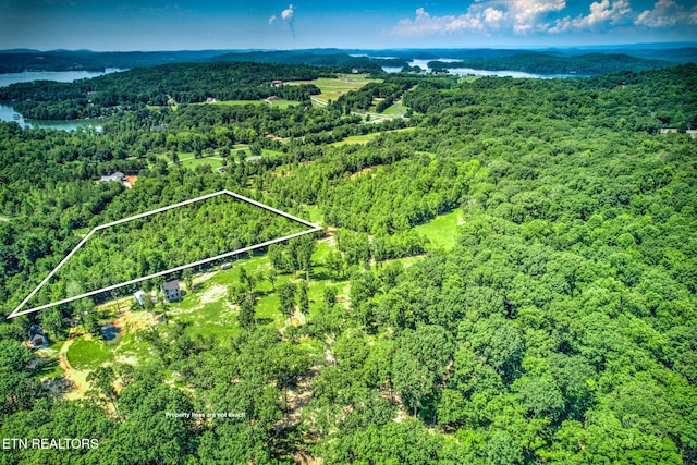 Loch Haven Dr, Rockwood, TN 37854
