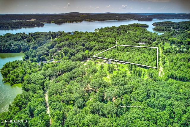 Loch Haven Dr, Rockwood, TN 37854