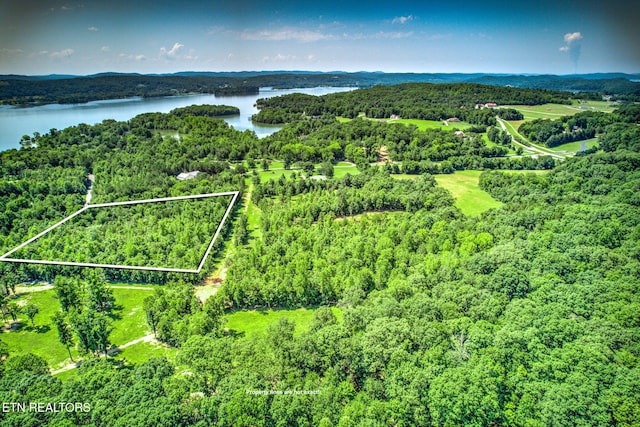 Loch Haven Dr, Rockwood, TN 37854