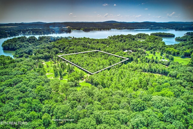 Loch Haven Dr, Rockwood, TN 37854