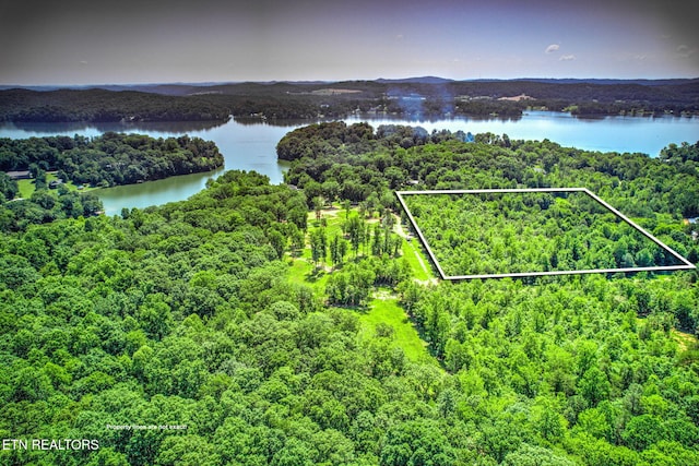 Loch Haven Dr, Rockwood, TN 37854