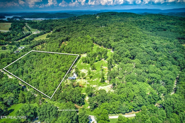 Loch Haven Dr, Rockwood, TN 37854