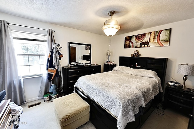 616 Loop Rd, Knoxville, TN 37934 - bedroom with carpet flooring and a textured ceiling