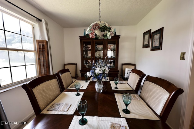 616 Loop Rd, Knoxville, TN 37934 - dining room featuring wood finished floors and a textured ceiling