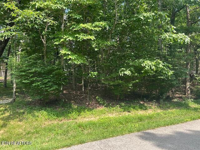 175 Lakeside Dr, Crossville, TN 38558 - photo 1