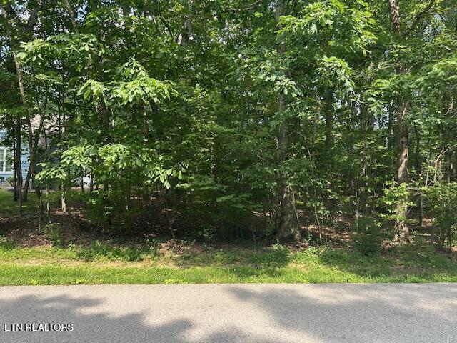 175 Lakeside Dr, Crossville, TN 38558 - photo 2