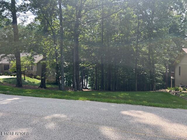 175 Lakeside Dr, Crossville, TN 38558 - photo 3