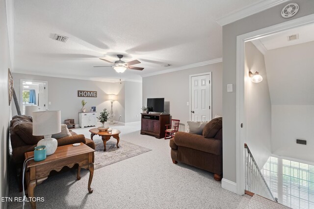 104 County Road 531, Etowah, TN 37331 - photo 24
