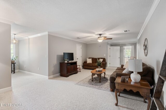 104 County Road 531, Etowah, TN 37331 - photo 25
