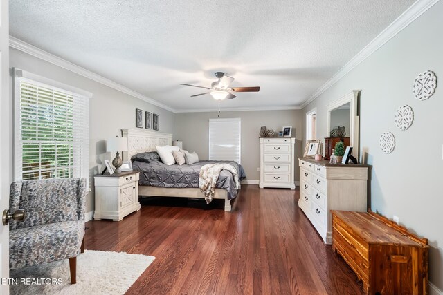104 County Road 531, Etowah, TN 37331 - photo 16