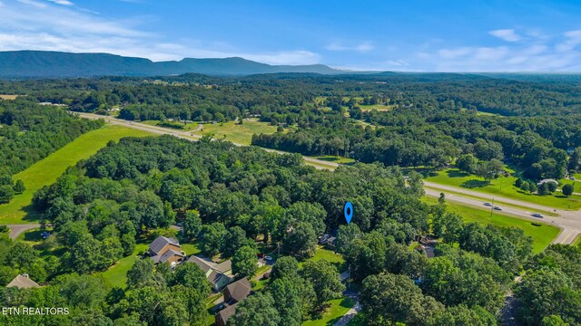 104 County Road 531, Etowah, TN 37331 - photo 47
