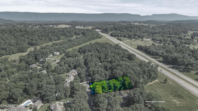 104 County Road 531, Etowah, TN 37331 - photo 49