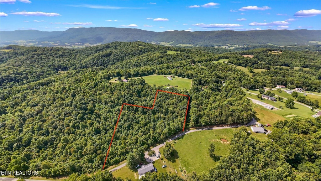 Dan Bean Rd, Speedwell, TN 37870