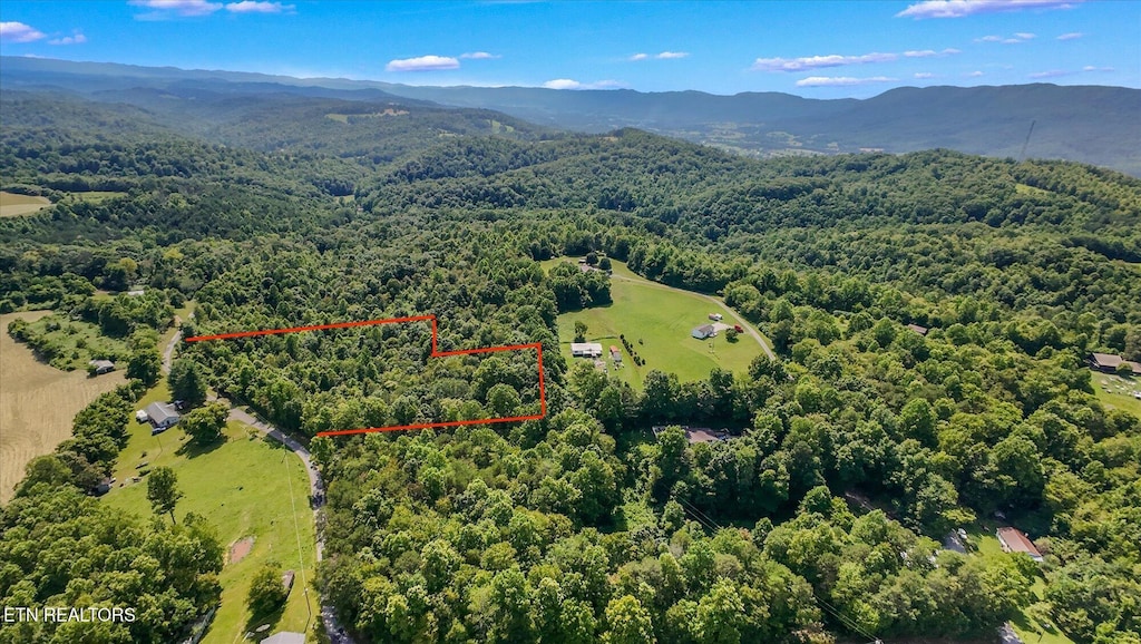 Dan Bean Rd, Speedwell, TN 37870