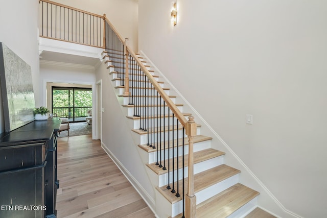 1100 Regality Way, Knoxville, TN 37923 - staircase featuring crown molding, wood finished floors, and a towering ceiling