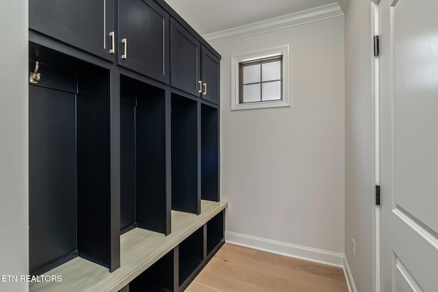 1100 Regality Way, Knoxville, TN 37923 - mudroom featuring ornamental molding and light wood-style flooring