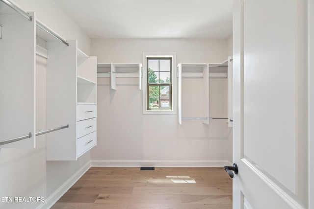 1100 Regality Way, Knoxville, TN 37923 - spacious closet with light wood-style floors