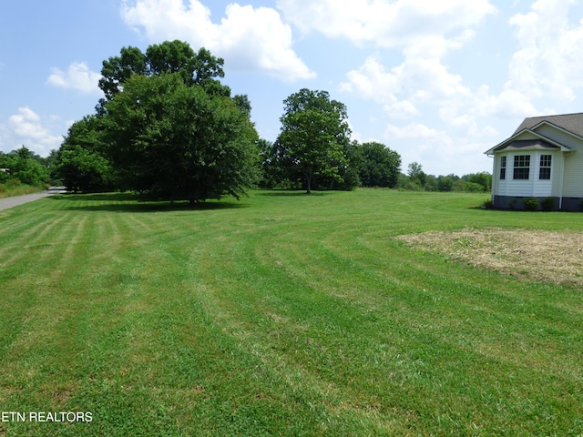 363 Smith Rd, Crossville, TN 38571 - view of green lawn