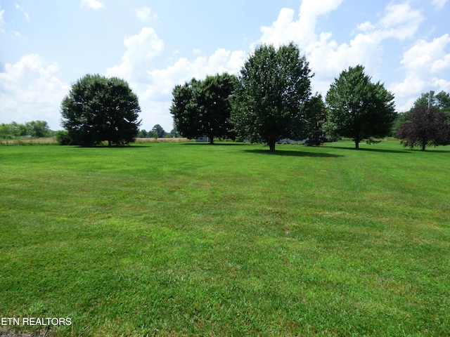 363 Smith Rd, Crossville, TN 38571 - view of green lawn