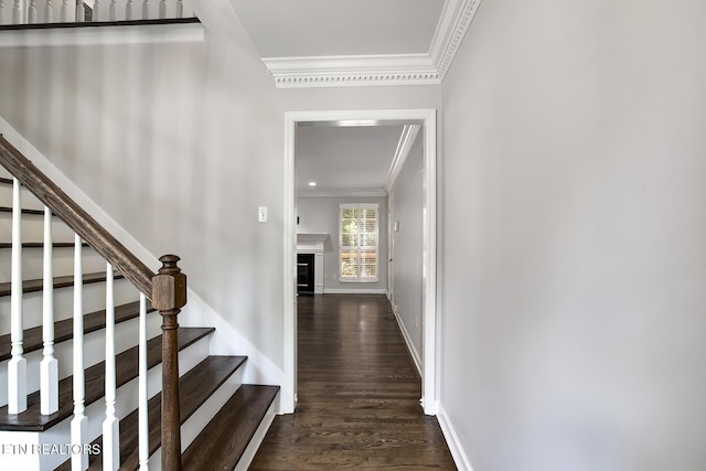 8416 Swathmore Ct, Knoxville, TN 37919 - photo 6