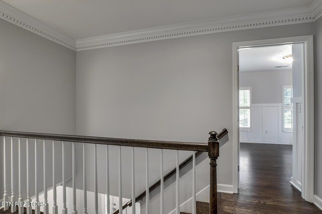 8416 Swathmore Ct, Knoxville, TN 37919 - photo 42