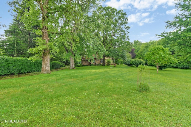 642 Pigeon Ridge Rd, Crossville, TN 38555 - photo 25