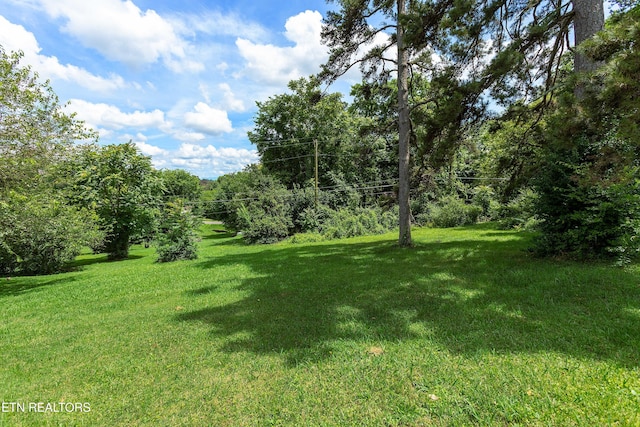 2940 Gaston Ave, Knoxville, TN 37917 - photo 28