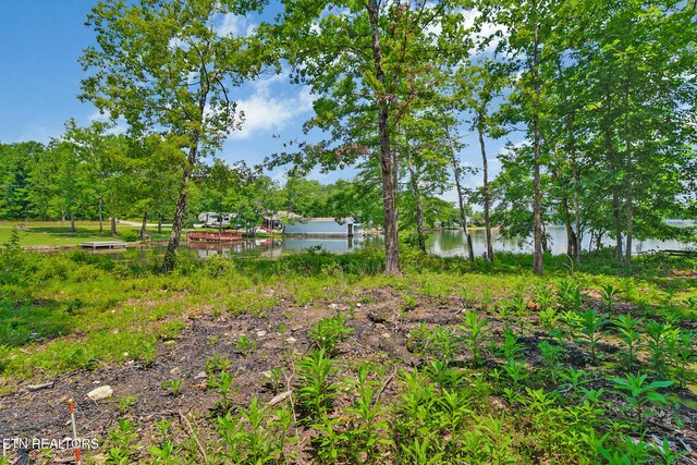 1032 Hileah Dr, Crossville, TN 38572 - photo 17
