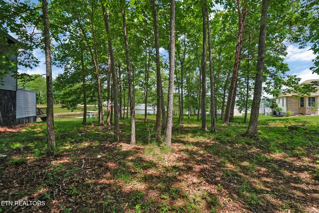 1032 Hileah Dr, Crossville, TN 38572 - photo 20