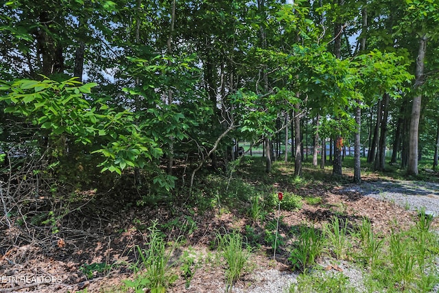 1032 Hileah Dr, Crossville, TN 38572 - photo 21