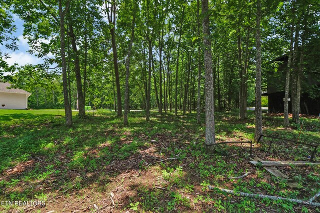 1032 Hileah Dr, Crossville, TN 38572 - photo 22