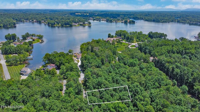 1032 Hileah Dr, Crossville, TN 38572 - photo 23