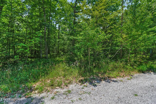 1032 Hileah Dr, Crossville, TN 38572 - photo 24