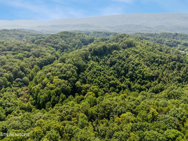 1310 Blockhouse Rd, Maryville, TN 37803 - photo 11