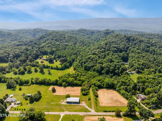 1310 Blockhouse Rd, Maryville, TN 37803 - photo 9
