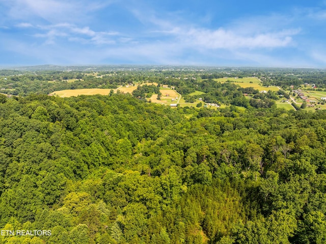 1310 Blockhouse Rd, Maryville, TN 37803 - photo 10