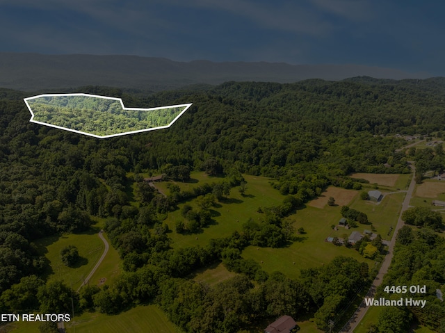 1310 Blockhouse Rd, Maryville, TN 37803 - photo 6