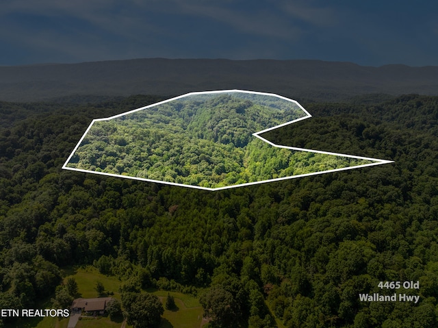 1310 Blockhouse Rd, Maryville, TN 37803 - photo 5