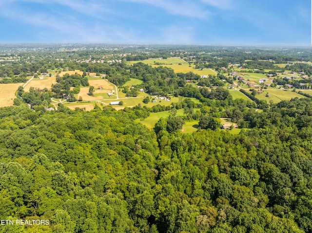 1310 Blockhouse Rd, Maryville, TN 37803 - photo 12