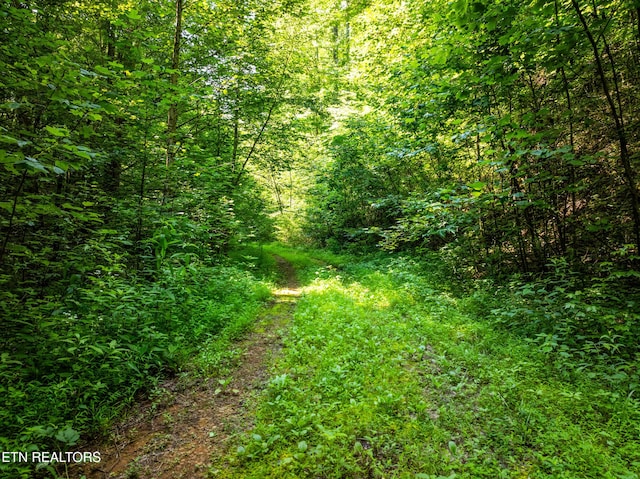 1310 Blockhouse Rd, Maryville, TN 37803 - photo 8