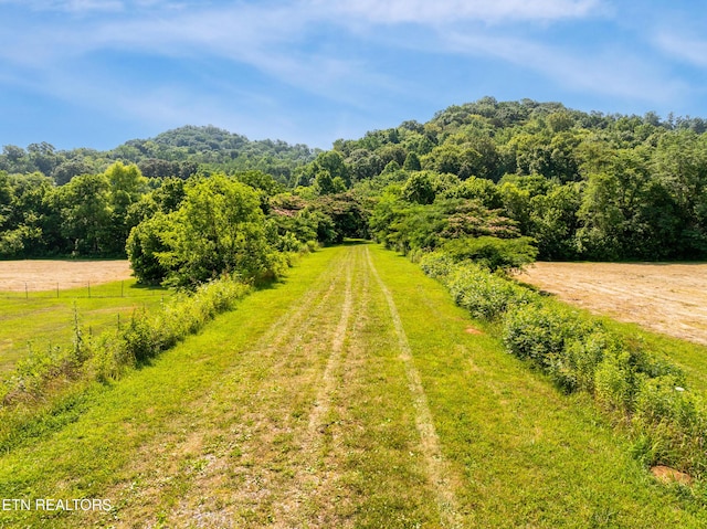 1310 Blockhouse Rd, Maryville, TN 37803 - photo 2