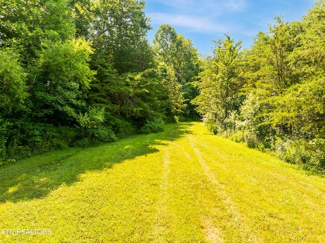 1310 Blockhouse Rd, Maryville, TN 37803 - photo 4