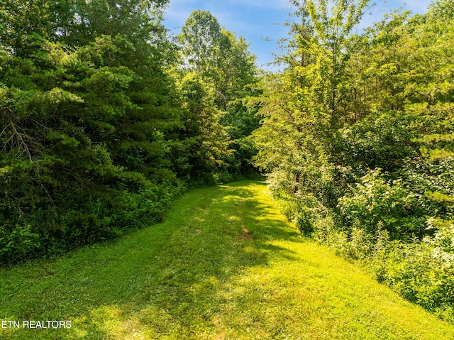 1310 Blockhouse Rd, Maryville, TN 37803 - photo 3