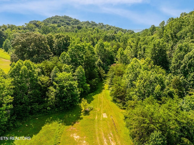 1310 Blockhouse Rd, Maryville, TN 37803 - photo 1
