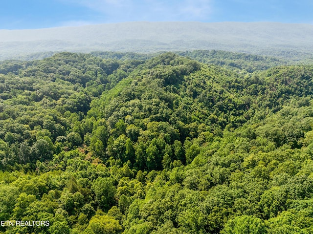1310 Blockhouse Rd, Maryville, TN 37803 - photo 15