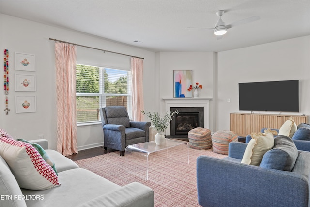 1171 Hampton Place Cir, Loudon, TN 37774 - living area featuring wood finished floors, a ceiling fan, and a glass covered fireplace