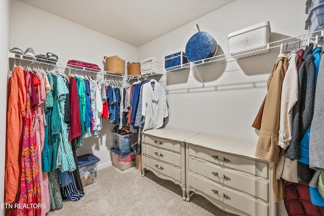 1171 Hampton Place Cir, Loudon, TN 37774 - spacious closet featuring carpet