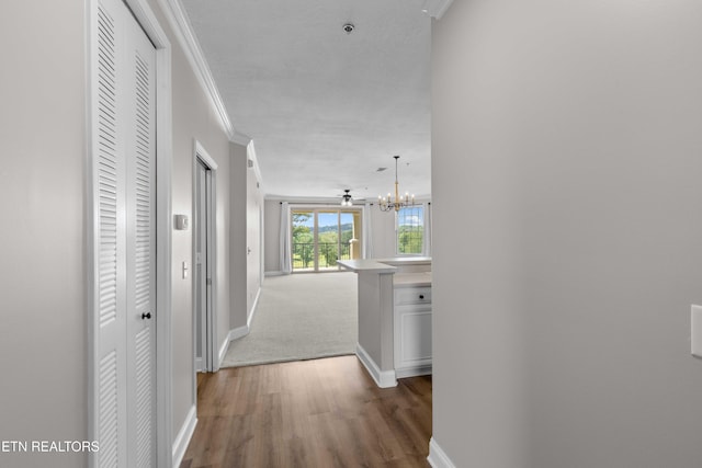 565 Rarity Bay Pkwy Unit 205, Vonore, TN 37885 - photo 2